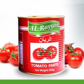 AL RAYYAN Tomato Paste